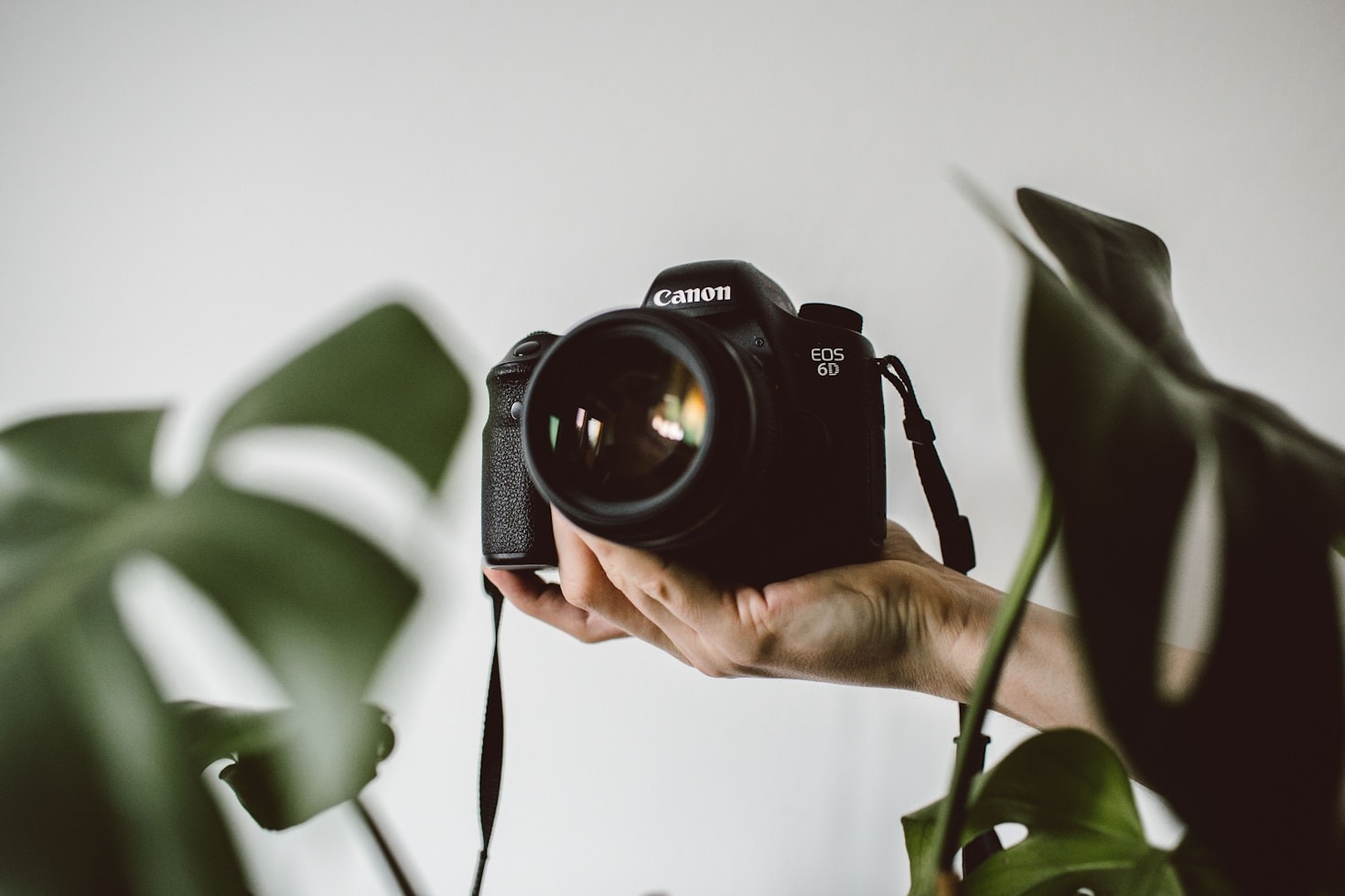A arte de capturar momentos únicos na fotografia